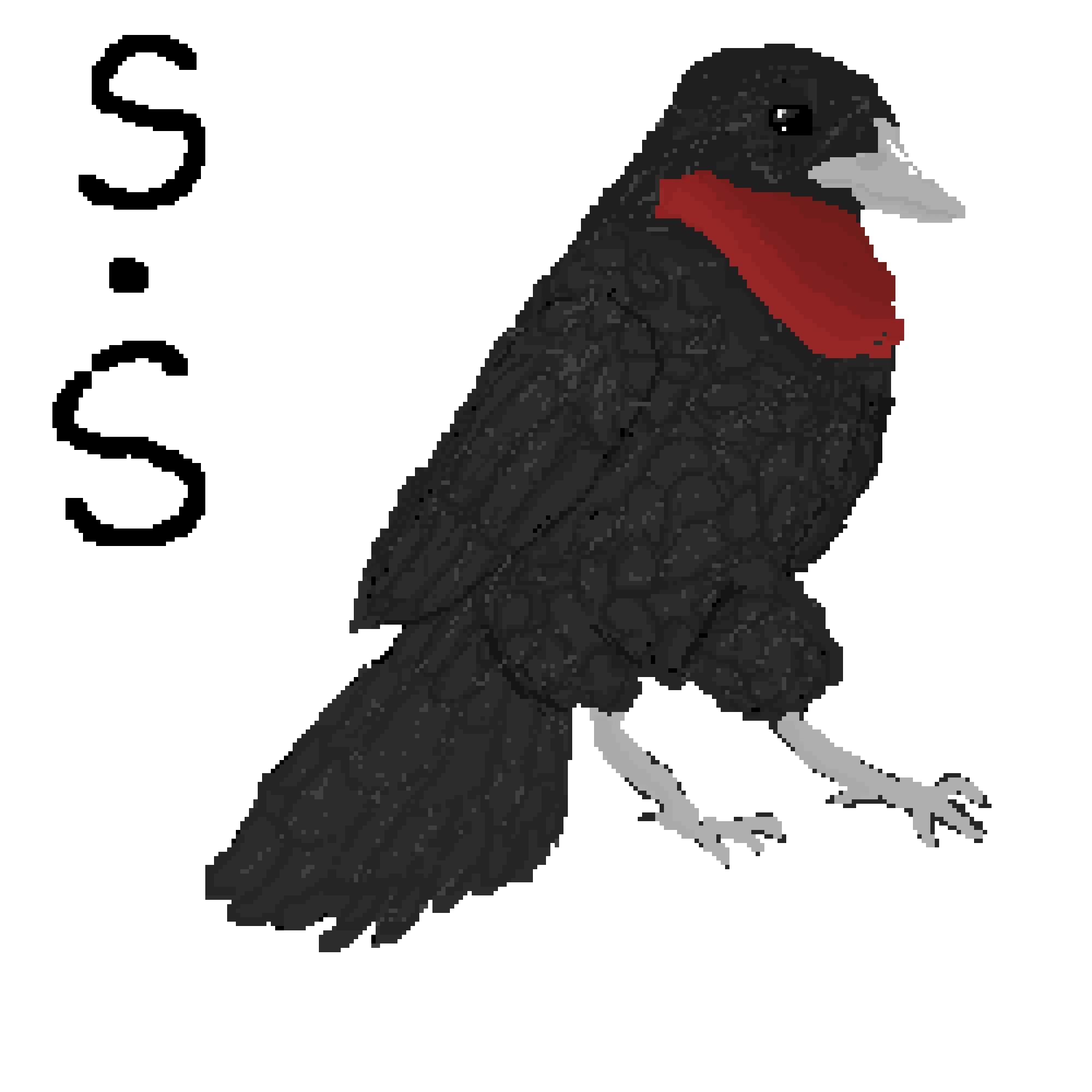 Purple Throated FruitCrow (By S.Stan / 779926) (2 Hours) (Editable version)