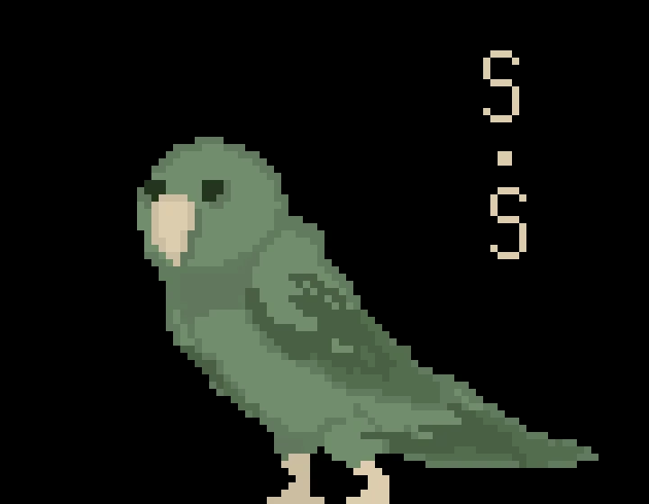 parakeet by s stan 779926