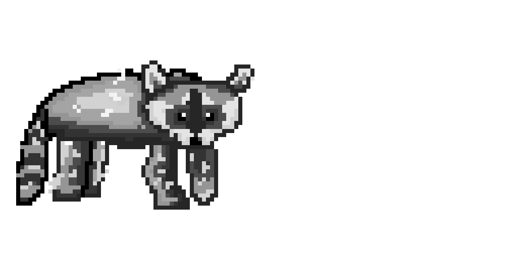racoon