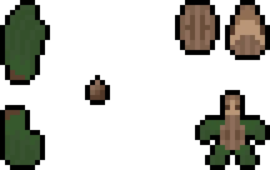 acorn shell river turtle