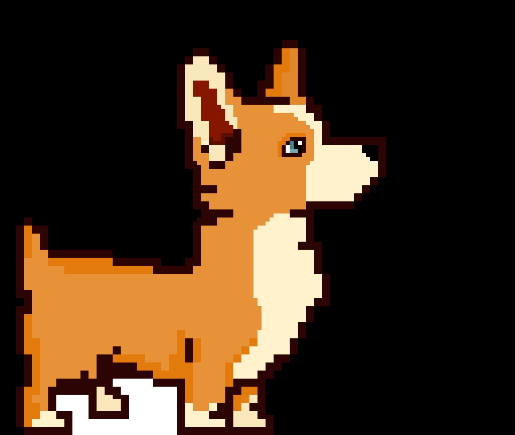 corgi
