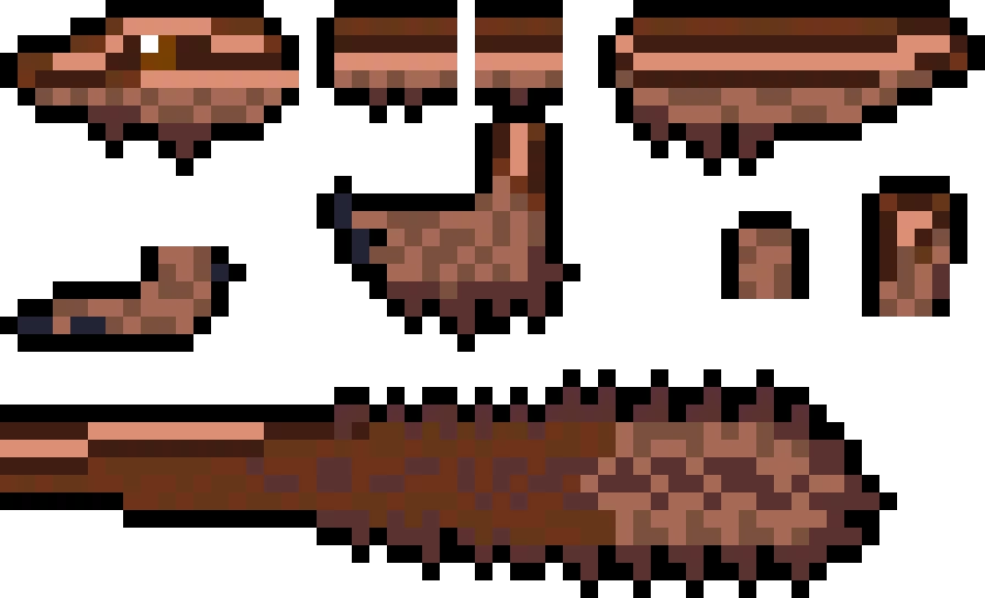 fancy schiggy domestic morph