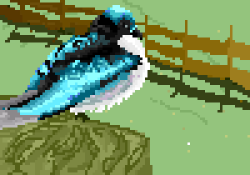 I hated my last bird