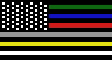 multicolor usa flag profile pic