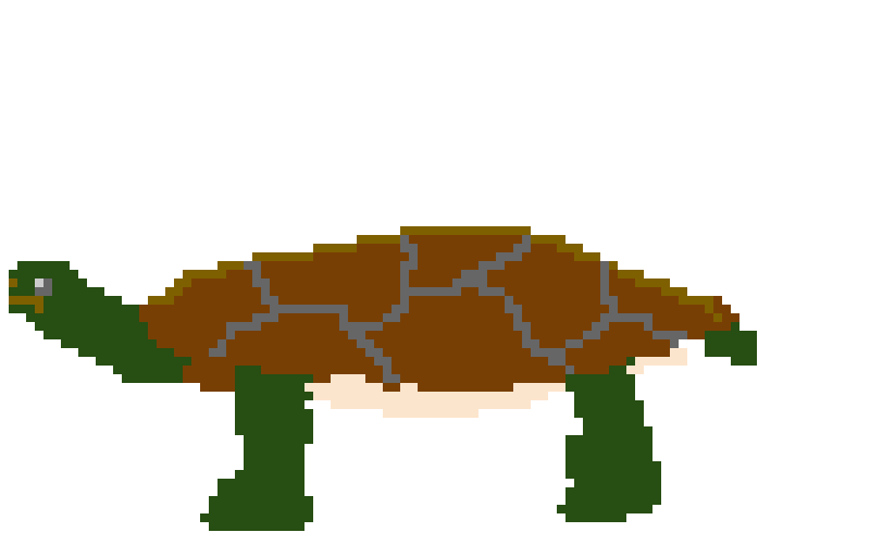 turtle