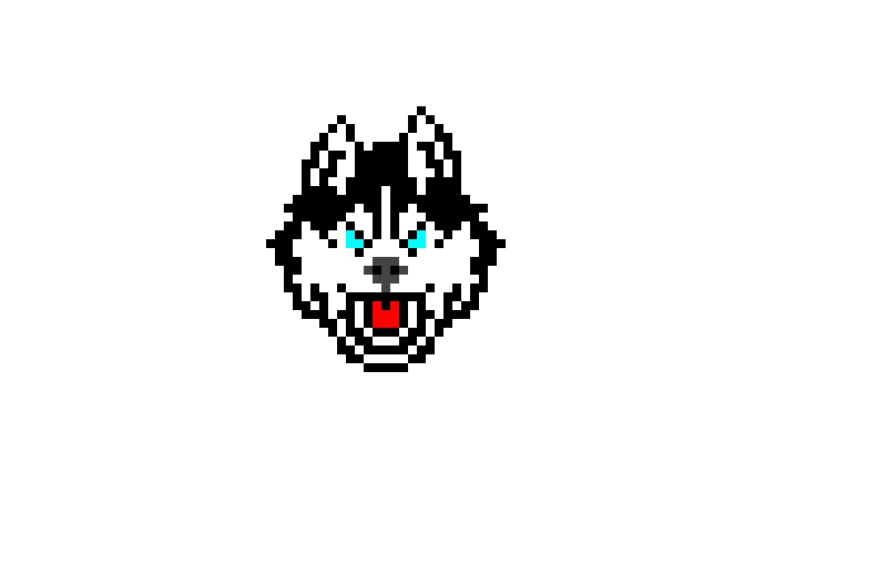 a-husky-i-have-one-named-thunder