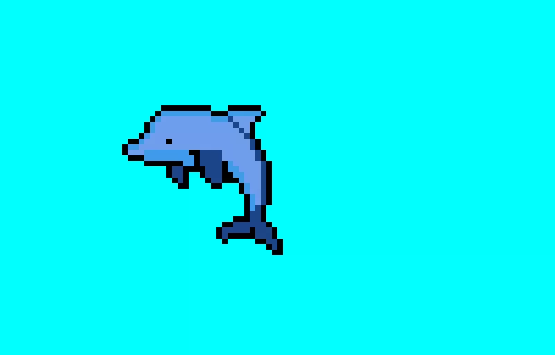 dolphin