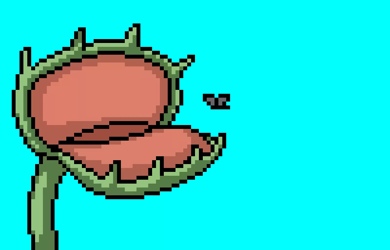 my favorite plant requested by rose covered walls