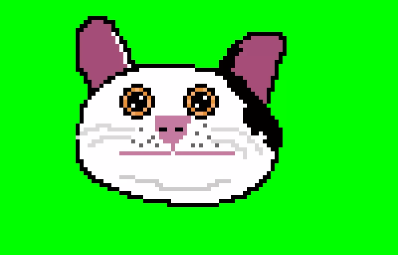polite cat meme i kinda messed up also 100 likes yaaaaaaaaaaaaaaaa lets go