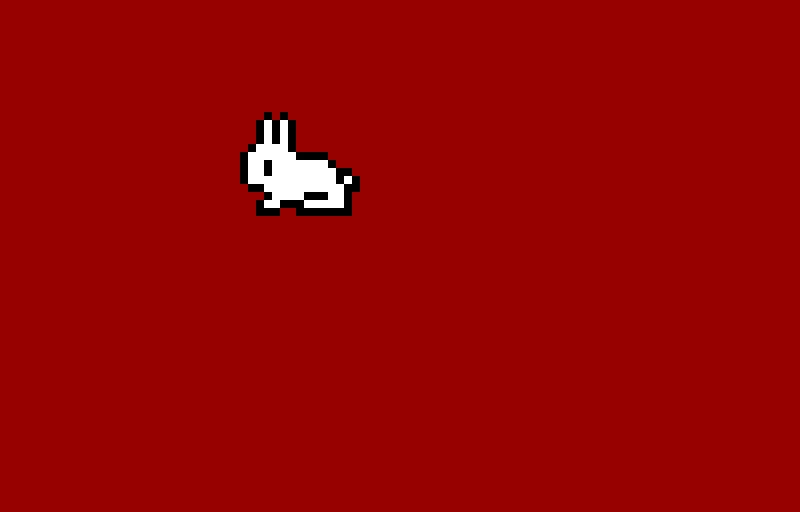 rabbit