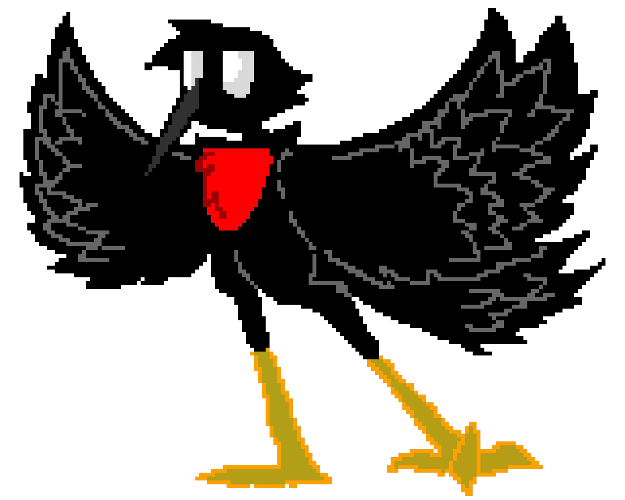 random bird