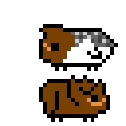 Tried to draw my guinea pigs