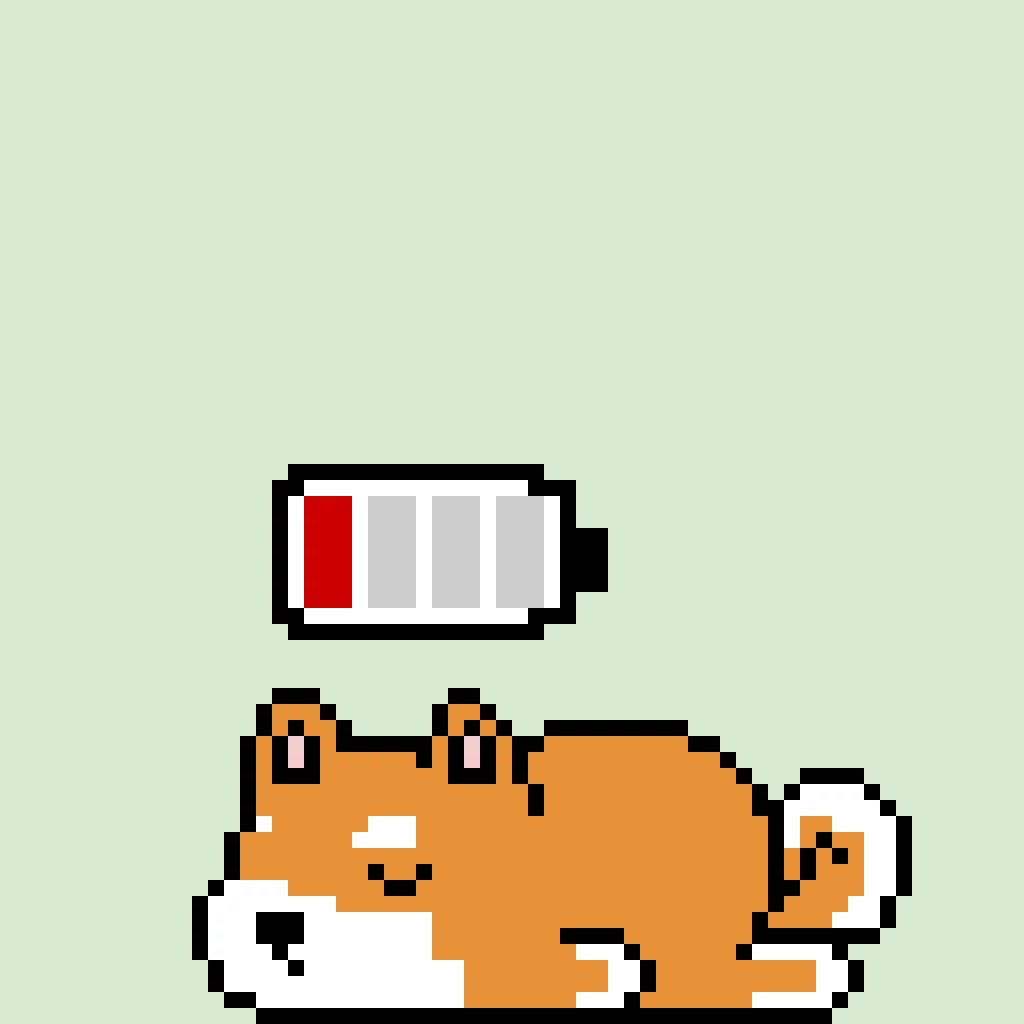 the sleeping corgi
