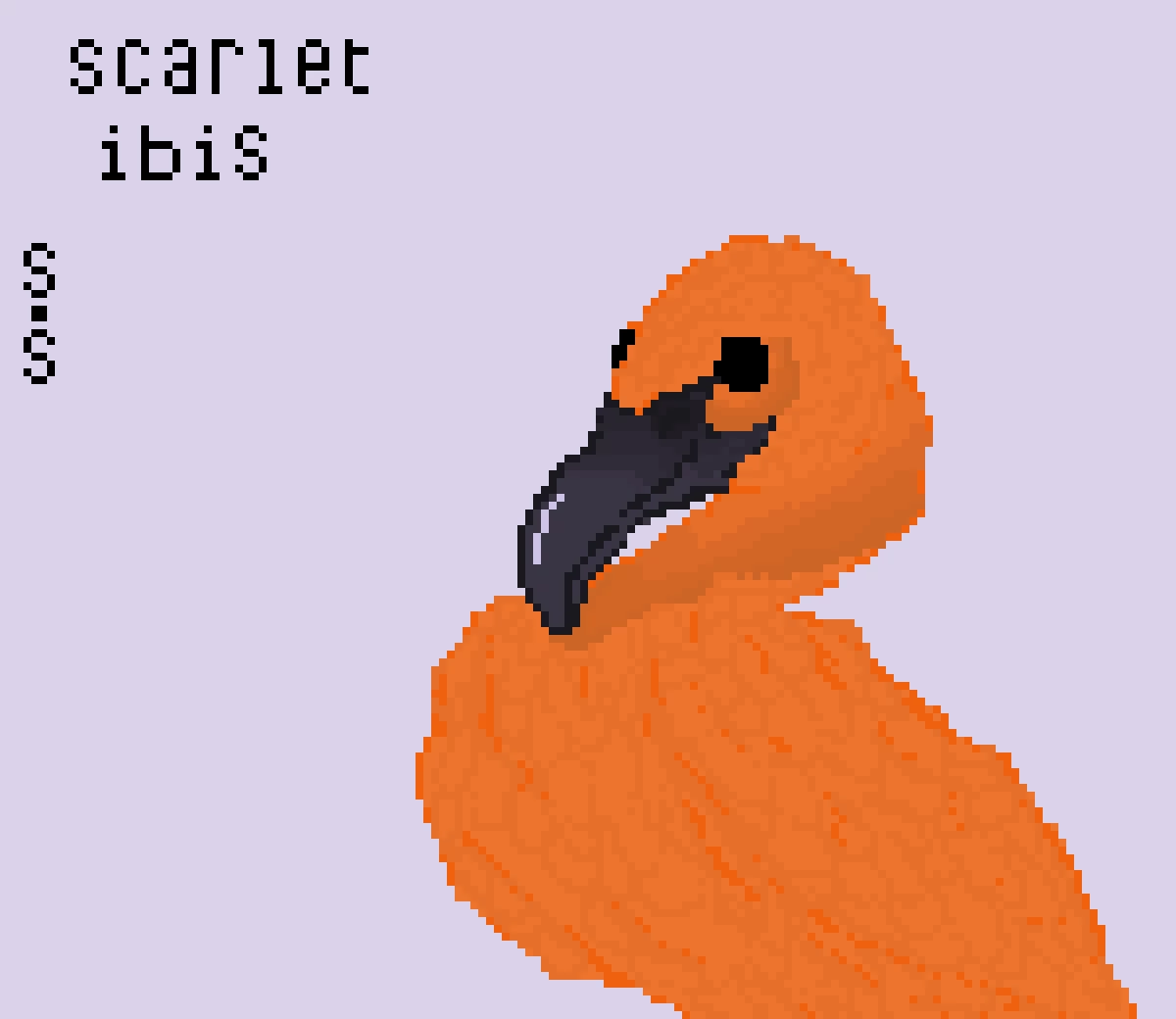 scarlet ibis by s stan 779926 im back