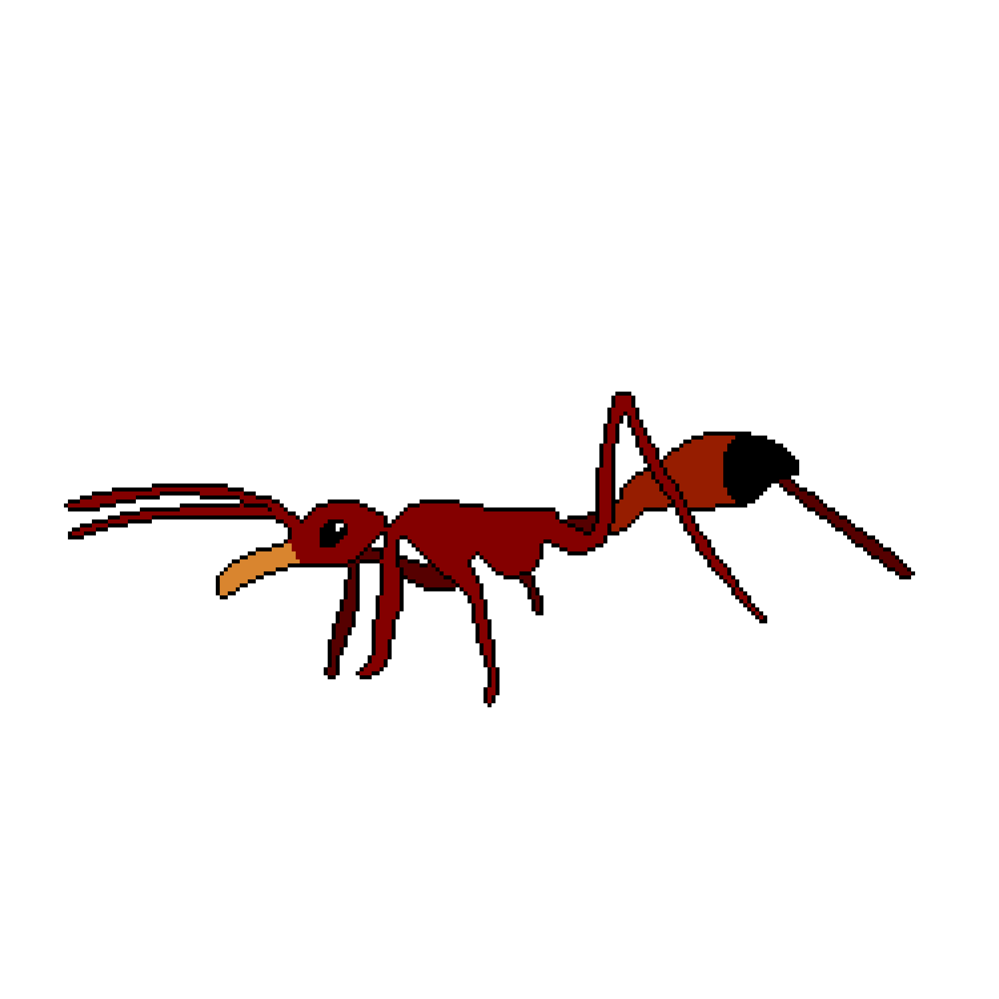 zombie ant