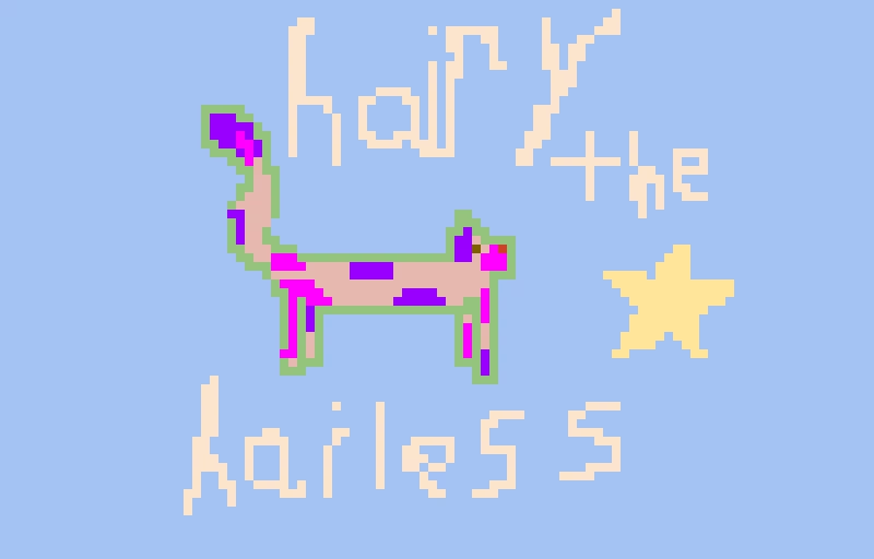 hairy the hairless cat