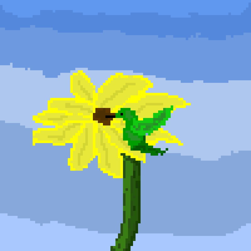 humming bird sunflower