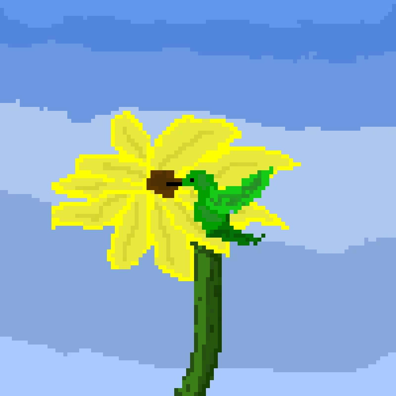 humming bird sunflower