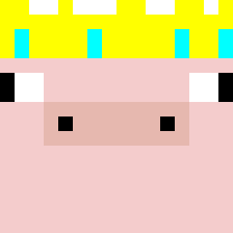 Congrats on 20 million King(Technoblade)