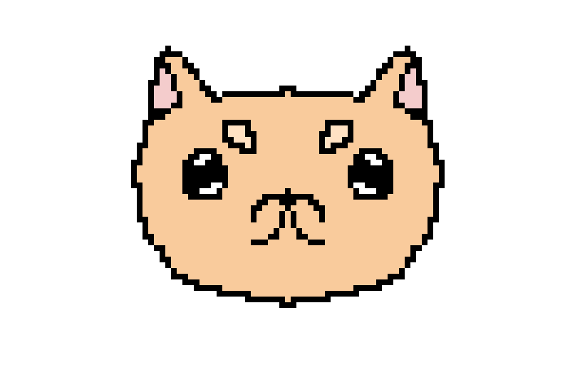 dog or cat