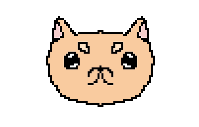 dog or cat