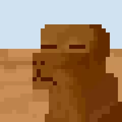 pov-insert-text-here-in-comments-im-cooked-dog-meme