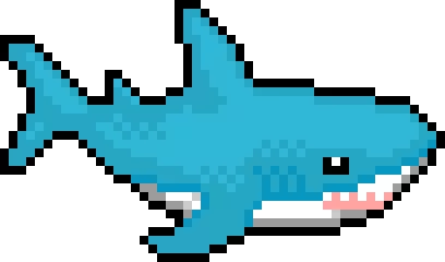 Sharky