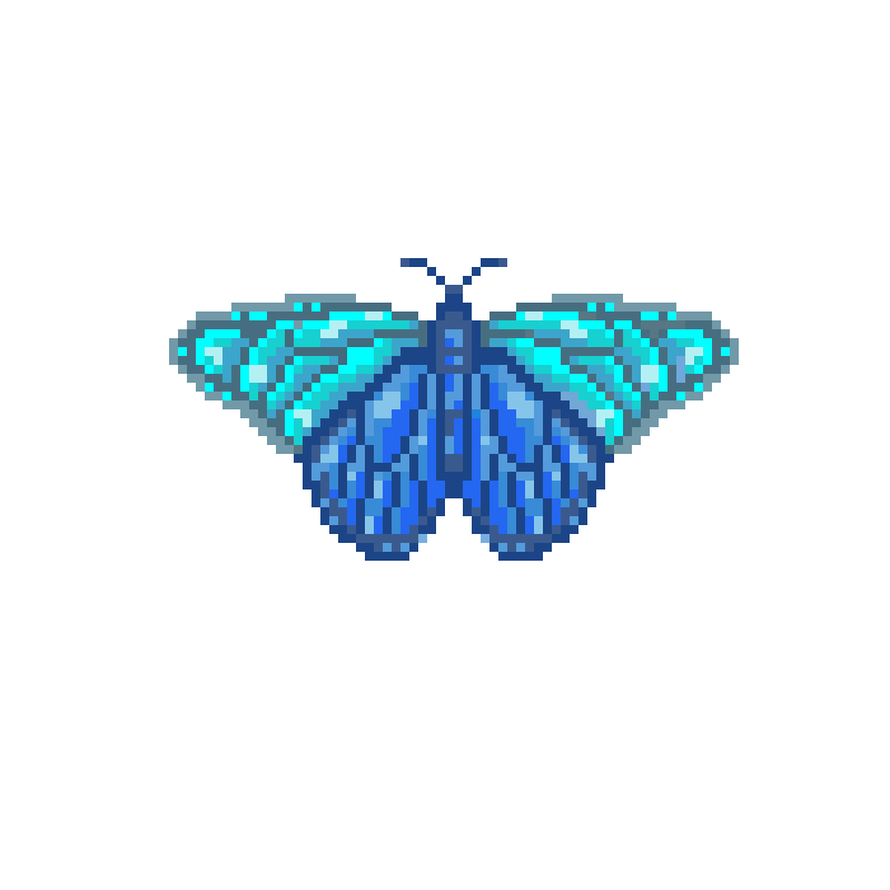 Blue Butterfly (Contest)