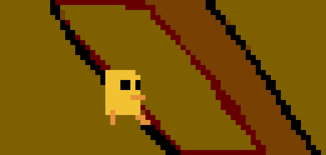 duck at grand canyon