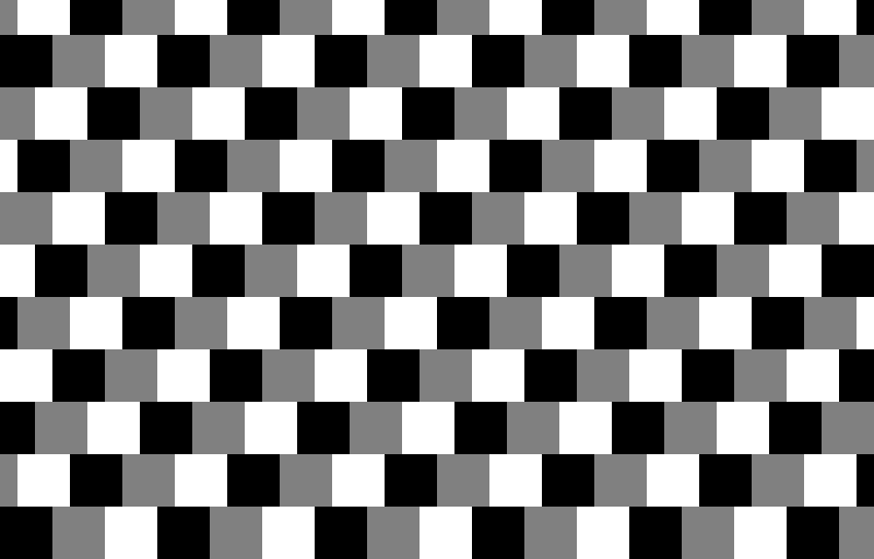 I think that I accidentally made an illusion? (no I do not know how I accidentally made an illusion)