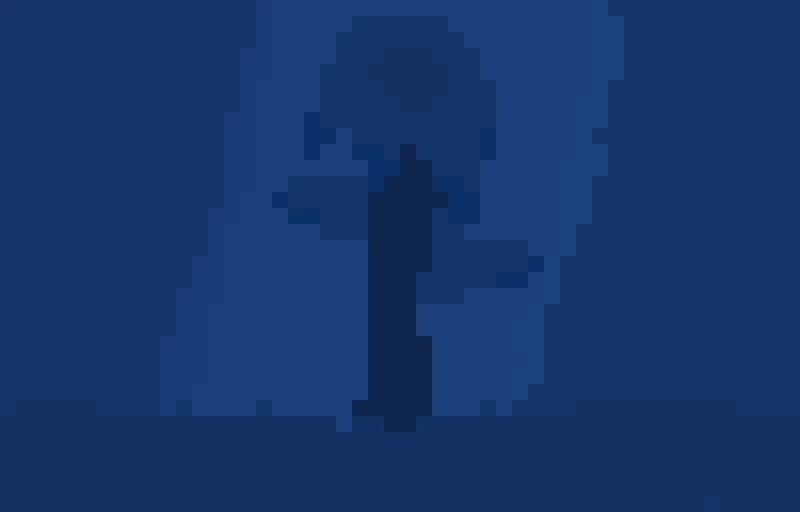 shadow-bloom-contest