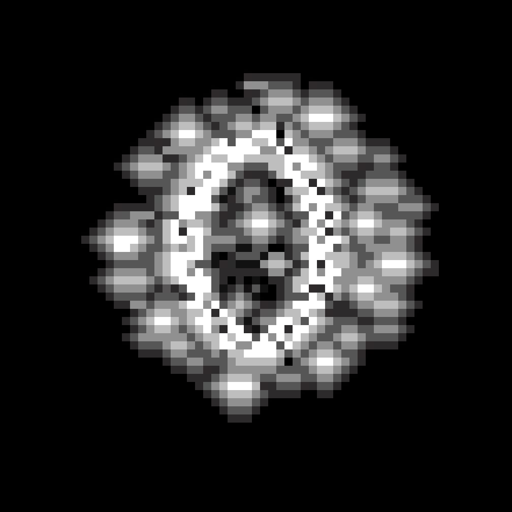 profile pic the one who watches