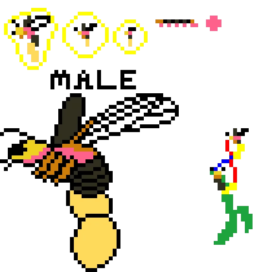 Male TobanTail (FairyTale)