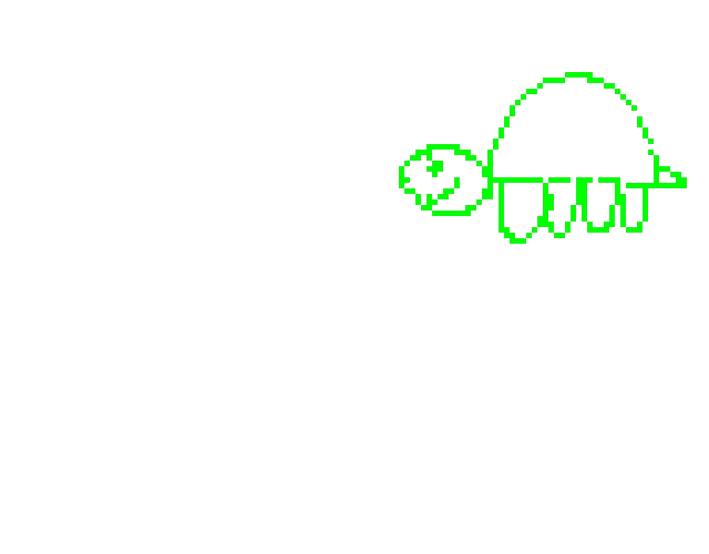 Lil turtle