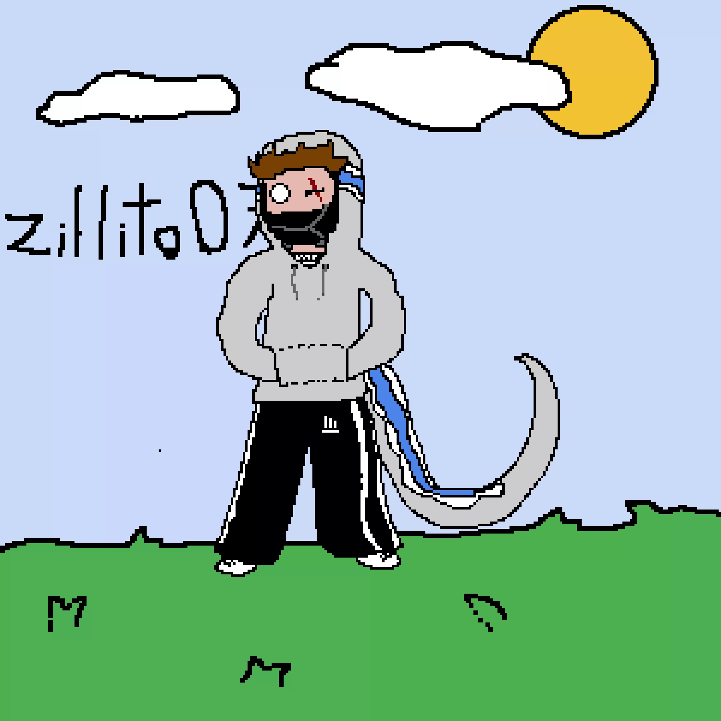my skin of minecraft, but its a cartoon