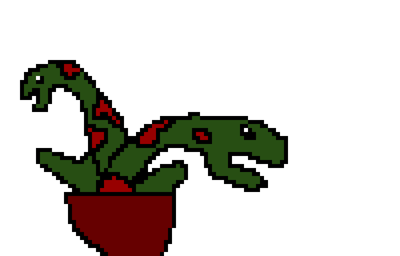 plant
