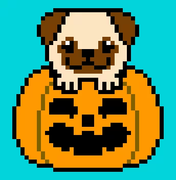 Pug in pumpkin