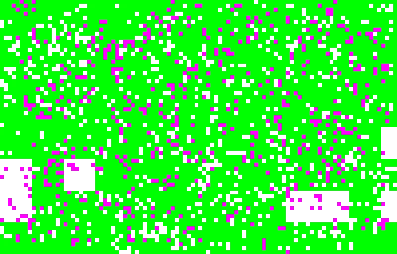 flowers in the grass