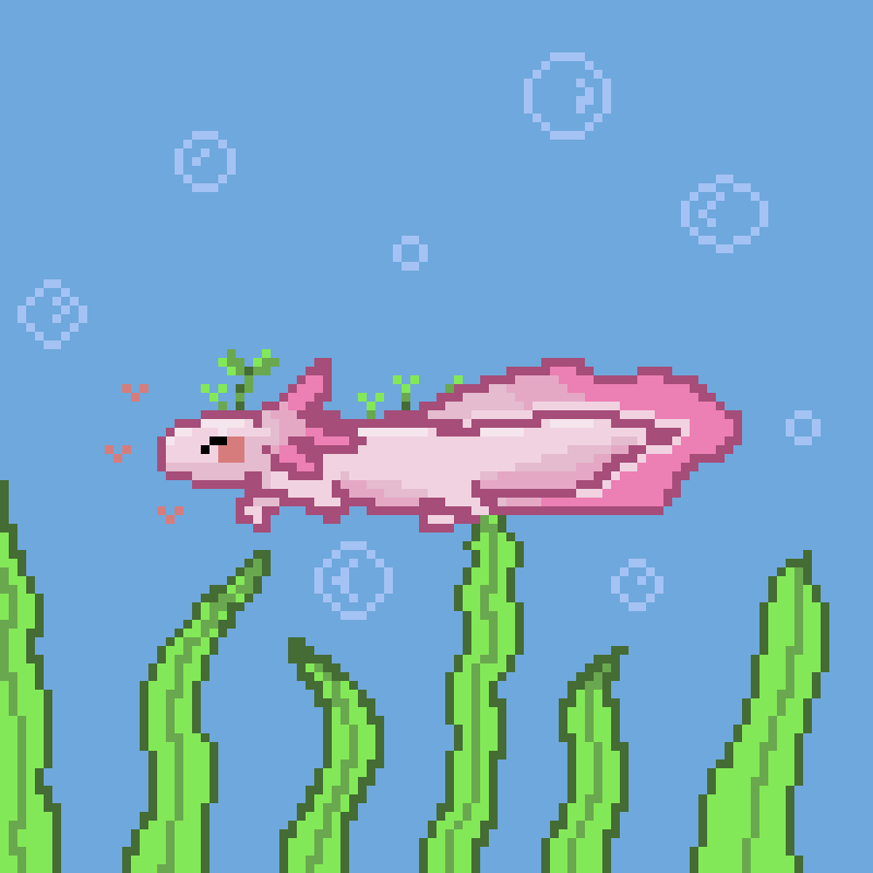 Axolotl In The Ocean
