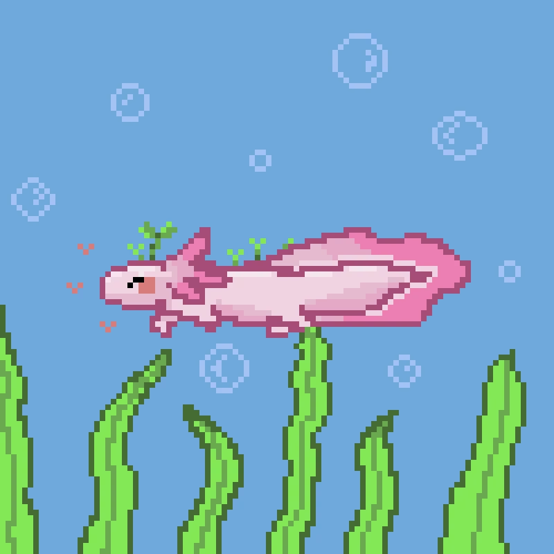 Axolotl In The Ocean