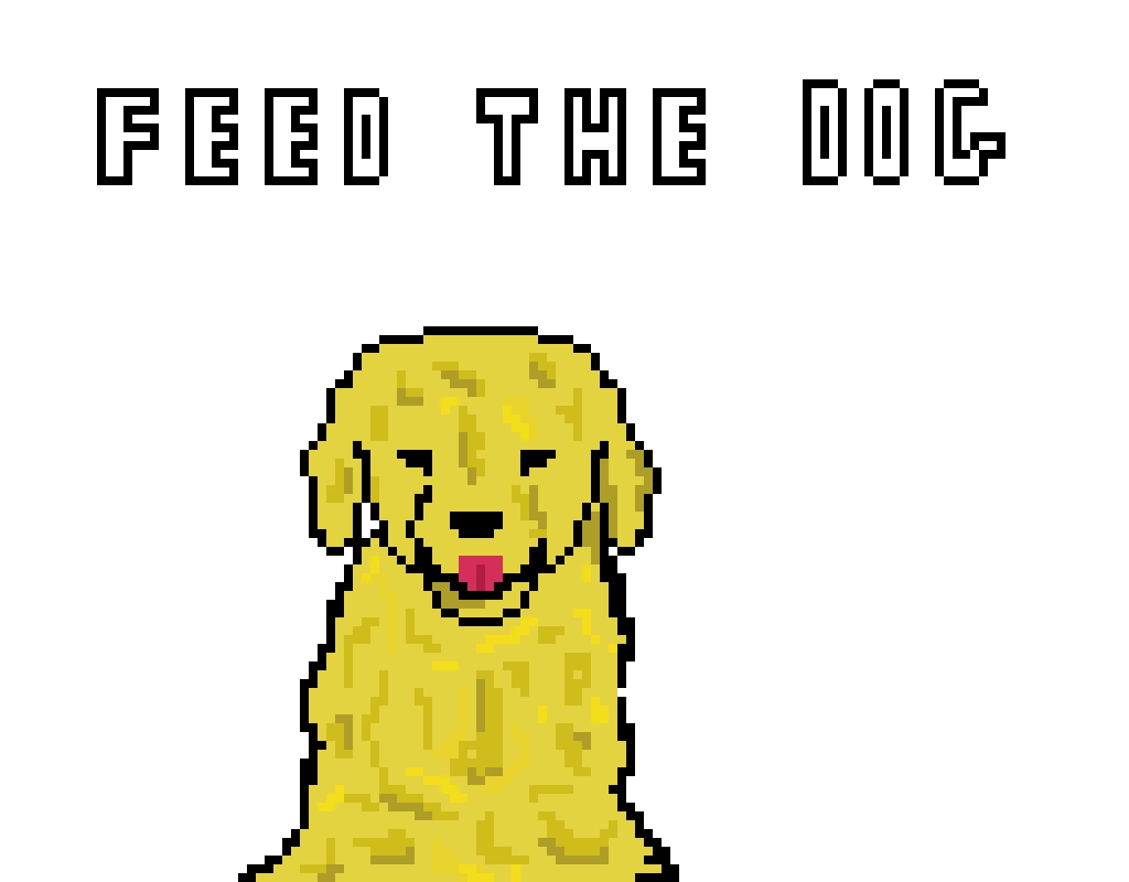 feed the dog