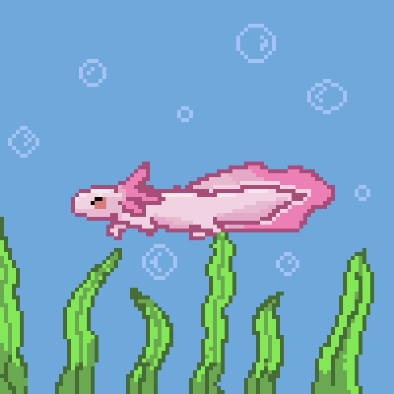 happy axolotl