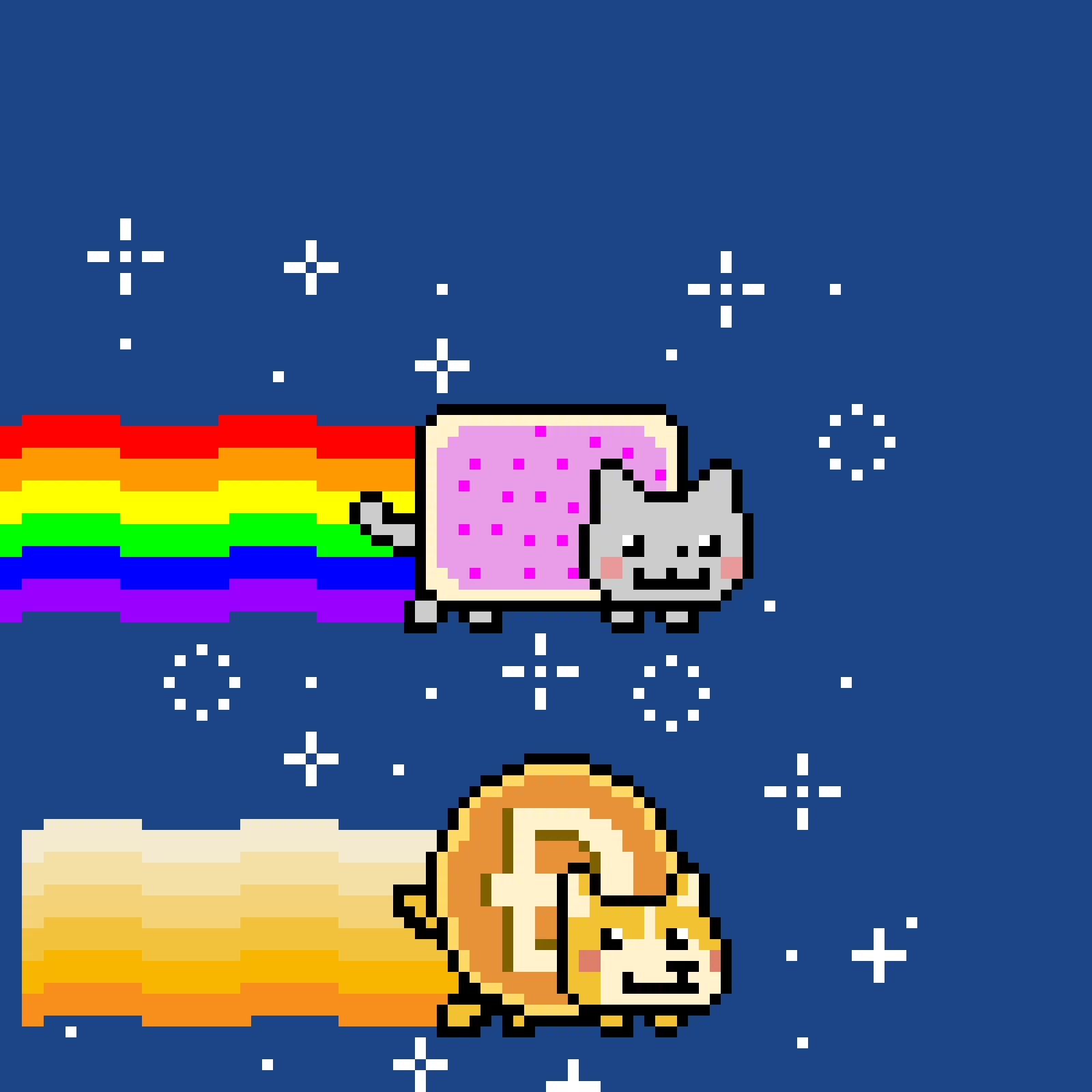nyan cat meets nyan doge