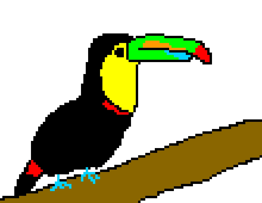 toucan on a log contest