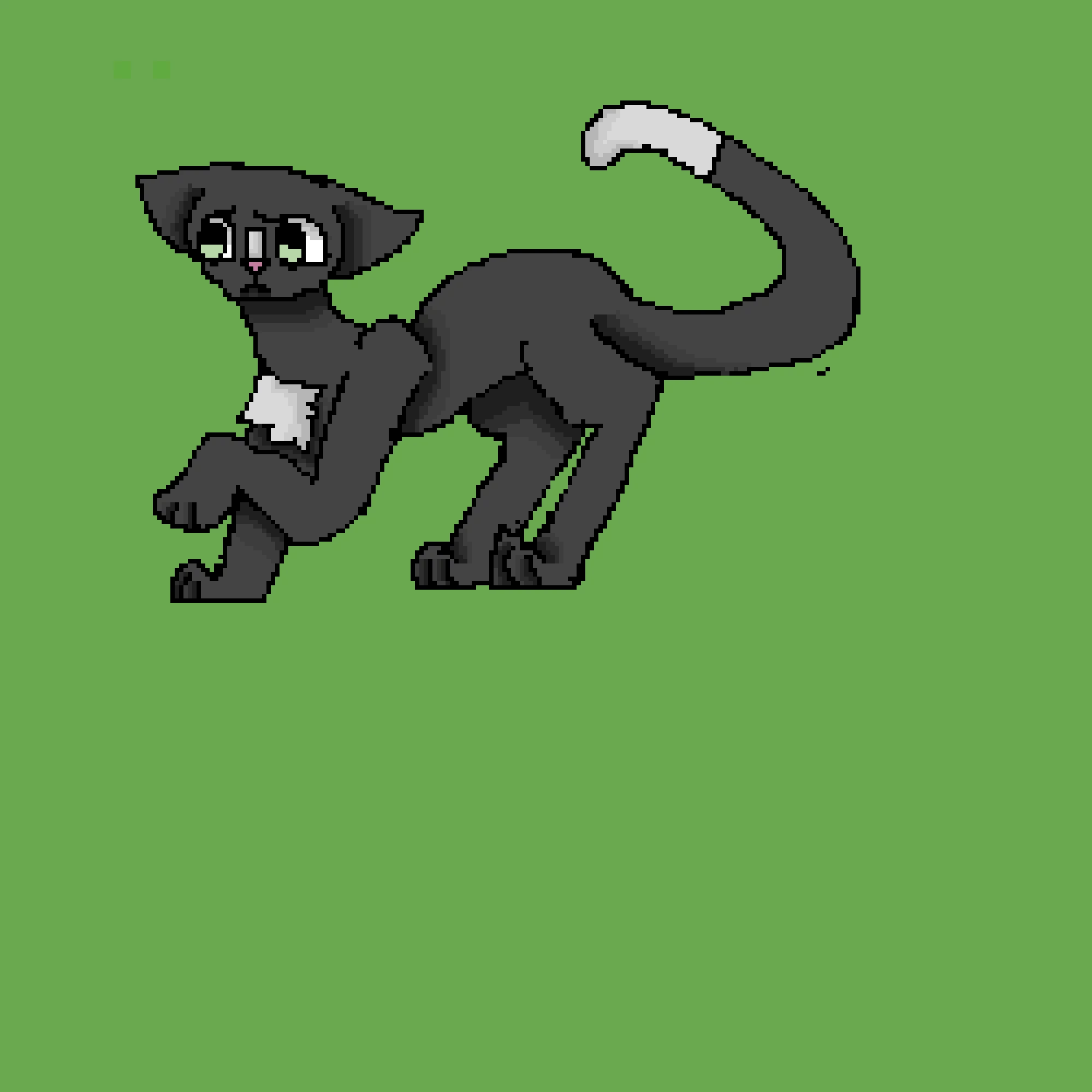 Ravenpawww. I was gonna draw a different cat, but raven paw is my favorite, so ye