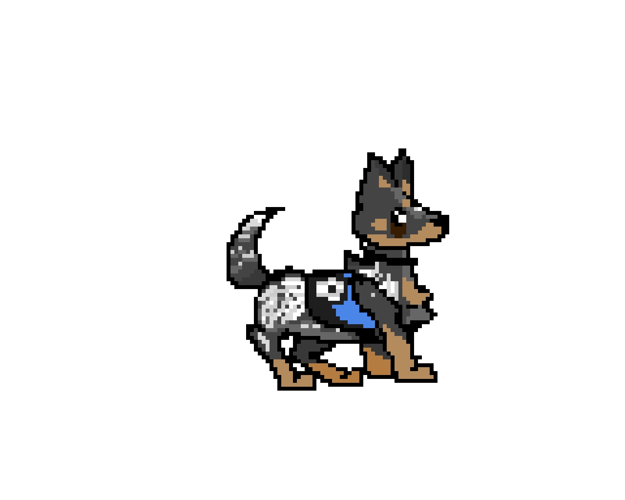 bandit the service dog she rsquo s not my dog but my grandpa rsquo s dog