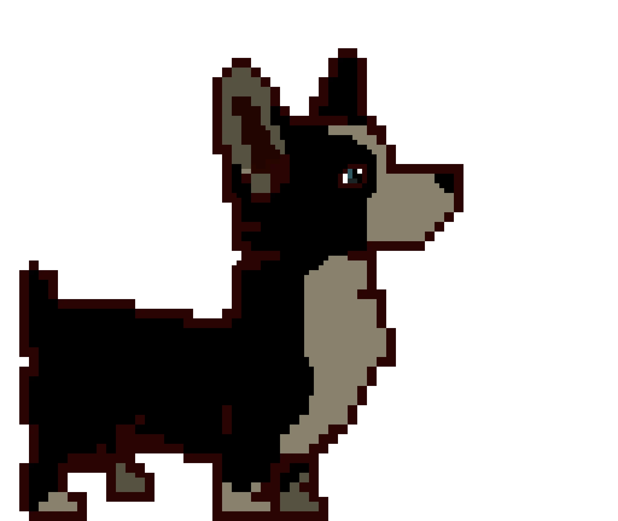 the dark corgi