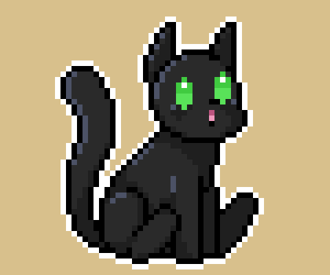Black cat!