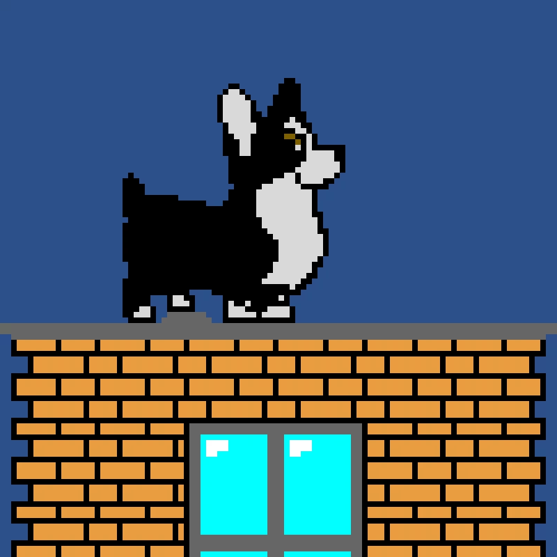 Corgi on building