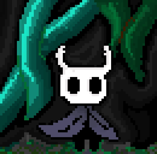 hollow knight d